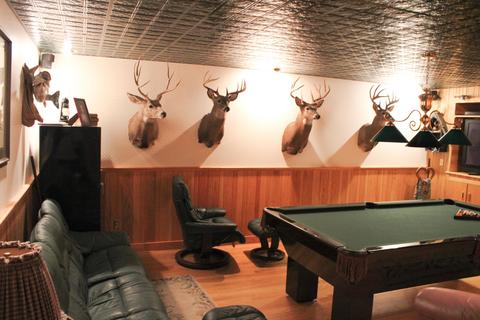 808 N Mohawk Drive Erwin Tn 37650, Erwin, TN 37650 photo 29