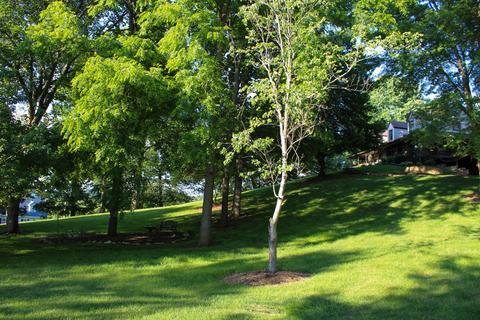 808 N Mohawk Drive Erwin Tn 37650, Erwin, TN 37650 photo 44