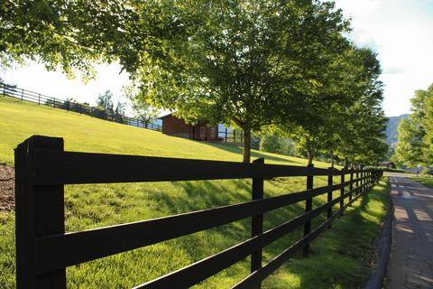 808 N Mohawk Drive Erwin Tn 37650, Erwin, TN 37650 photo 46