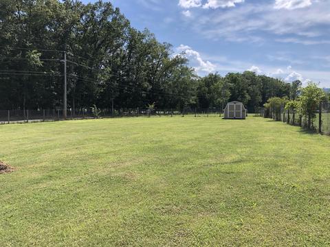 875 Bailey Street Greeneville Tn 37745, Greeneville, TN 37745 photo 28