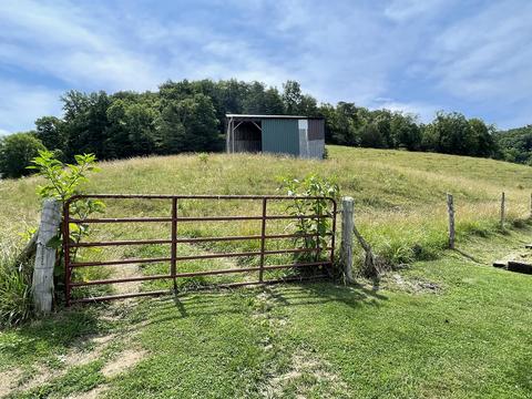 1399 Robert Harmon Road Greeneville Tn 37745, Greeneville, TN 37745 photo 30
