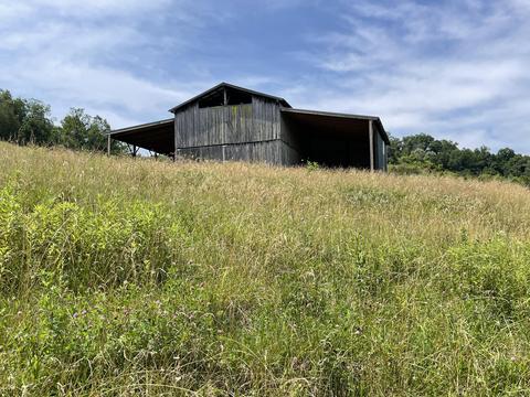 1399 Robert Harmon Road Greeneville Tn 37745, Greeneville, TN 37745 photo 29