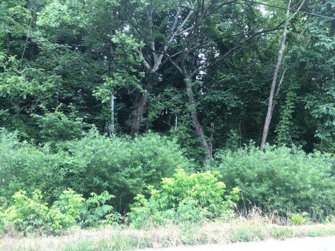 lot1 Adrian Drive Kingsport Tn 37664, Kingsport, TN 37664