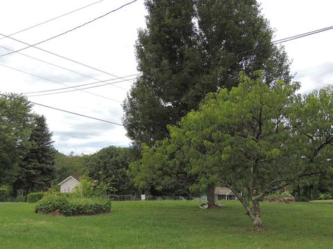 3423 Buckingham Road Greeneville Tn 37745, Greeneville, TN 37745 photo 33