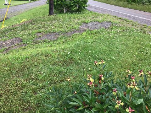5501 Airport Road Wise Va 24293, Wise, VA 24293 photo 5