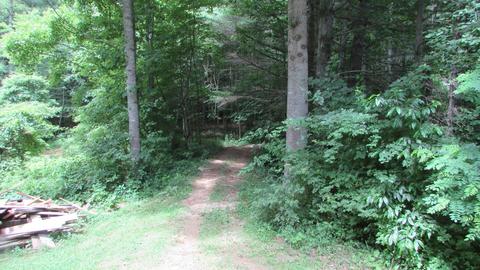 962 Fairview Road Hampton Tn 37658, Hampton, TN 37658 photo 7