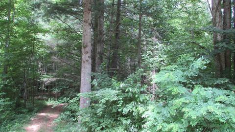 962 Fairview Road Hampton Tn 37658, Hampton, TN 37658 photo 8