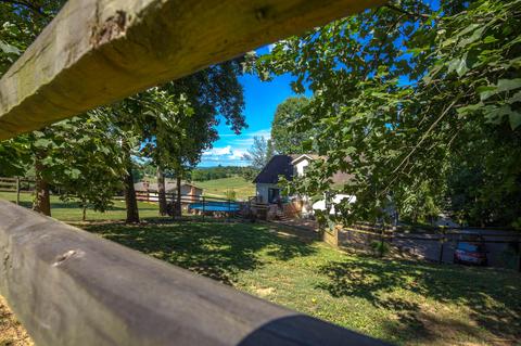 511 Frog Level Road Gray Tn 37615, Gray, TN 37615 photo 58
