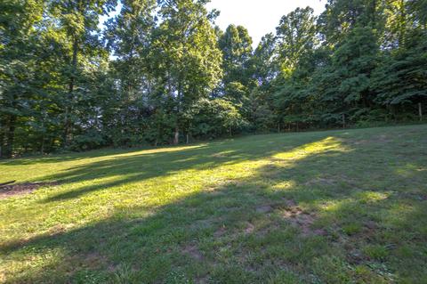 511 Frog Level Road Gray Tn 37615, Gray, TN 37615 photo 54