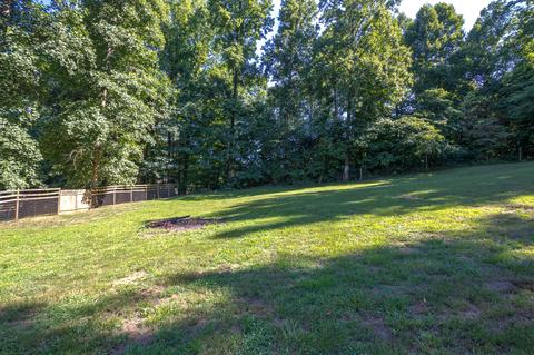 511 Frog Level Road Gray Tn 37615, Gray, TN 37615 photo 55