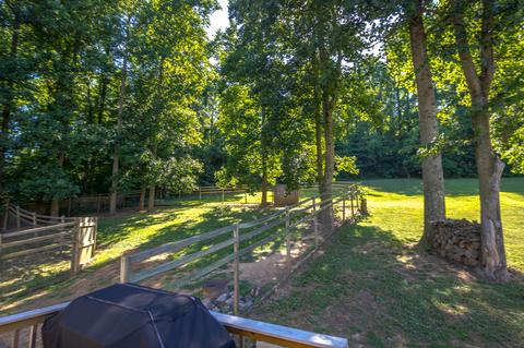 511 Frog Level Road Gray Tn 37615, Gray, TN 37615 photo 47