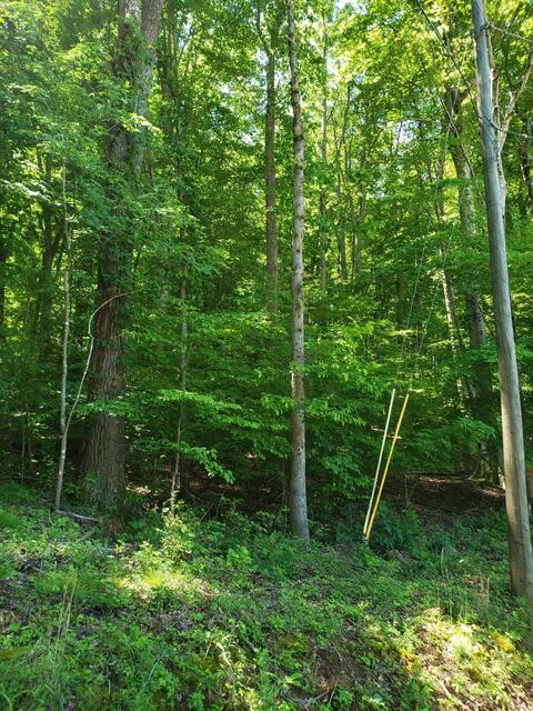 2242 Island Park Circle Talbott Tn 37877, Talbott, TN 37877 photo 2