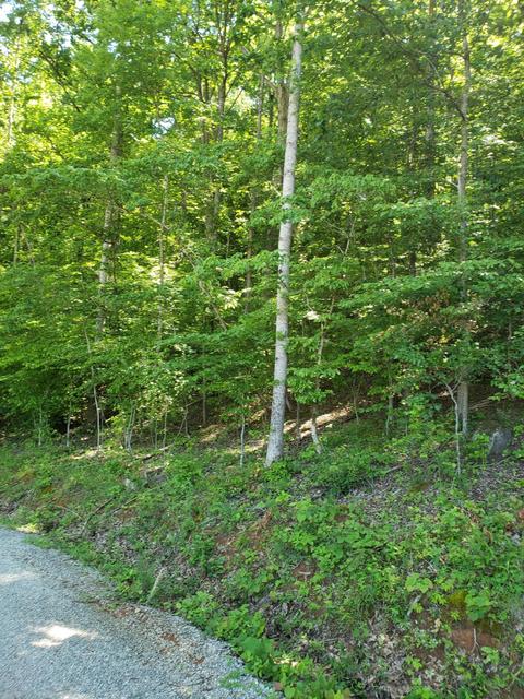 2242 Island Park Circle Talbott Tn 37877, Talbott, TN 37877 photo 3
