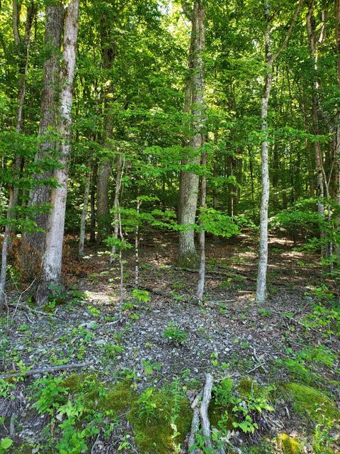 2242 Island Park Circle Talbott Tn 37877, Talbott, TN 37877 photo 1