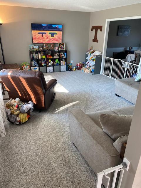 140 Tangency Drive Gray Tn 37615, Gray, TN 37615 photo 21