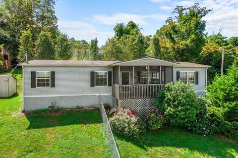 131 Fire Hall Road, Fall Branch, TN 37656 photo 14