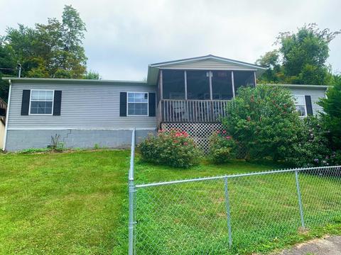 131 Fire Hall Road, Fall Branch, TN 37656 photo 1
