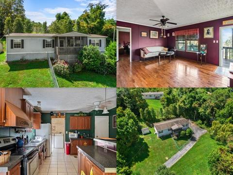 131 Fire Hall Road, Fall Branch, TN 37656 photo 2