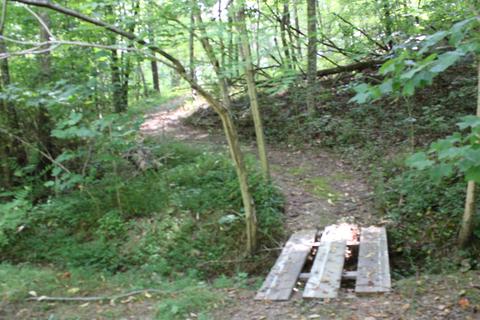695 Poor Valley Road Rutledge Tn 37861, Rutledge, TN 37861 photo 7