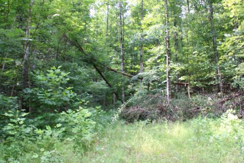 695 Poor Valley Road Rutledge Tn 37861, Rutledge, TN 37861 photo 8
