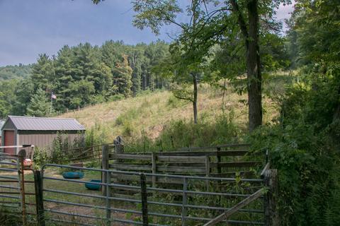 5595 Dry Fork Road Cedar Bluff Va 24609, Cedar Bluff, VA 24609 photo 30