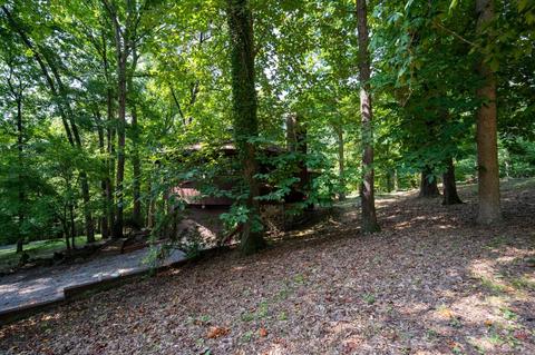 890 Moody Road Fall Branch Tn 37656, Fall Branch, TN 37656 photo 47