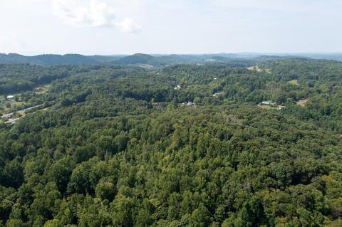 890 Moody Road Fall Branch Tn 37656, Fall Branch, TN 37656 photo 77