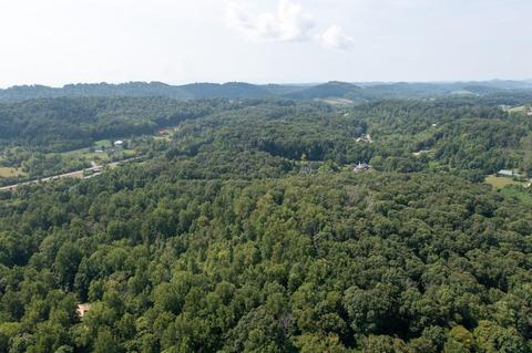890 Moody Road Fall Branch Tn 37656, Fall Branch, TN 37656 photo 76