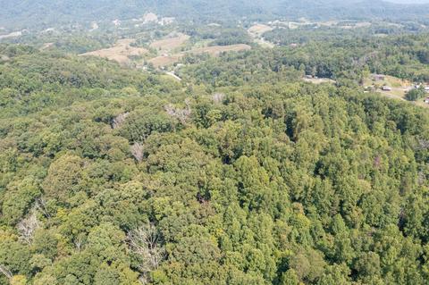 890 Moody Road Fall Branch Tn 37656, Fall Branch, TN 37656 photo 65