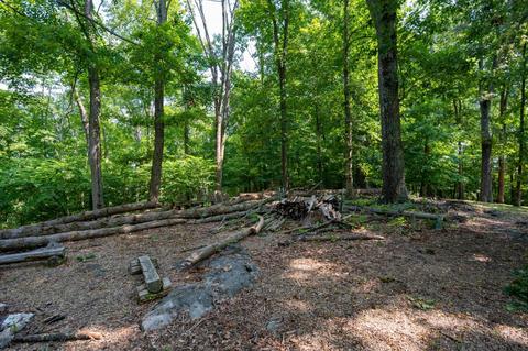 890 Moody Road Fall Branch Tn 37656, Fall Branch, TN 37656 photo 56