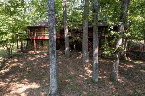 890 Moody Road Fall Branch Tn 37656, Fall Branch, TN 37656 photo 62