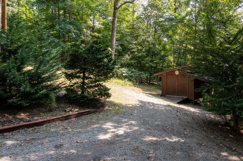 890 Moody Road Fall Branch Tn 37656, Fall Branch, TN 37656 photo 83