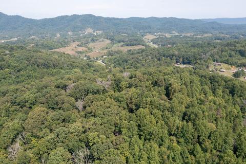 890 Moody Road Fall Branch Tn 37656, Fall Branch, TN 37656 photo 66