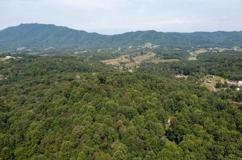 890 Moody Road Fall Branch Tn 37656, Fall Branch, TN 37656 photo 81