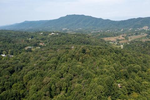 890 Moody Road Fall Branch Tn 37656, Fall Branch, TN 37656 photo 80