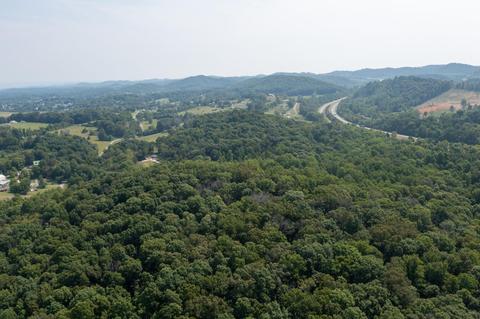 890 Moody Road Fall Branch Tn 37656, Fall Branch, TN 37656 photo 70