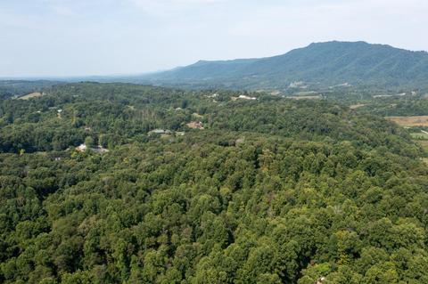 890 Moody Road Fall Branch Tn 37656, Fall Branch, TN 37656 photo 79