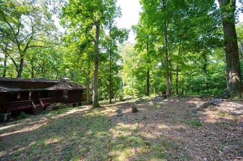 890 Moody Road Fall Branch Tn 37656, Fall Branch, TN 37656 photo 59