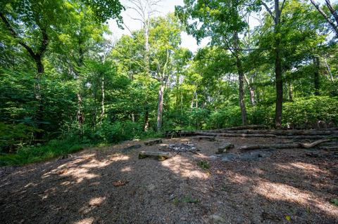 890 Moody Road Fall Branch Tn 37656, Fall Branch, TN 37656 photo 55