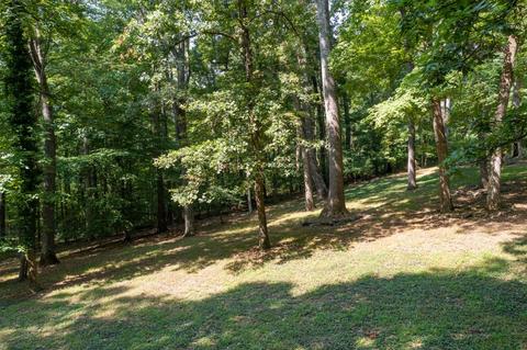 890 Moody Road Fall Branch Tn 37656, Fall Branch, TN 37656 photo 86