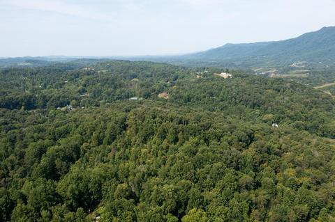890 Moody Road Fall Branch Tn 37656, Fall Branch, TN 37656 photo 78