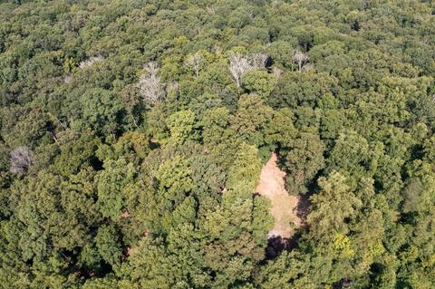 890 Moody Road Fall Branch Tn 37656, Fall Branch, TN 37656 photo 82