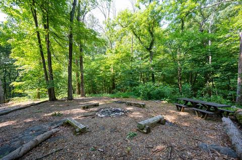 890 Moody Road Fall Branch Tn 37656, Fall Branch, TN 37656 photo 57