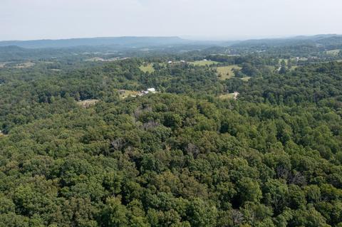 890 Moody Road Fall Branch Tn 37656, Fall Branch, TN 37656 photo 68