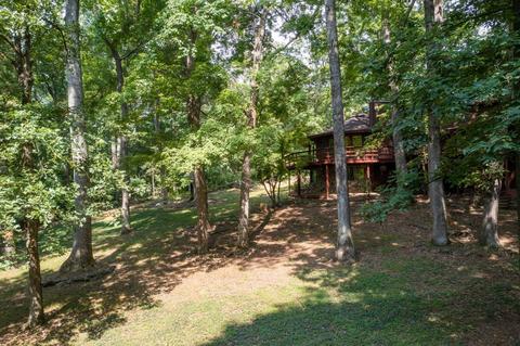 890 Moody Road Fall Branch Tn 37656, Fall Branch, TN 37656 photo 85