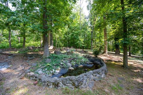 890 Moody Road Fall Branch Tn 37656, Fall Branch, TN 37656 photo 52