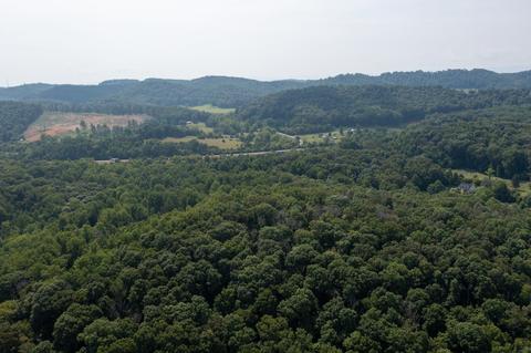 890 Moody Road Fall Branch Tn 37656, Fall Branch, TN 37656 photo 73