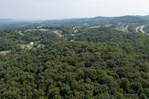 890 Moody Road Fall Branch Tn 37656, Fall Branch, TN 37656 photo 69