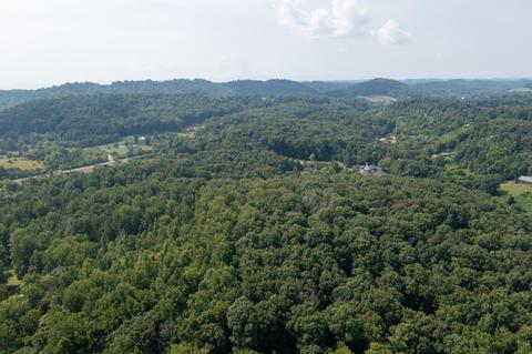 890 Moody Road Fall Branch Tn 37656, Fall Branch, TN 37656 photo 75