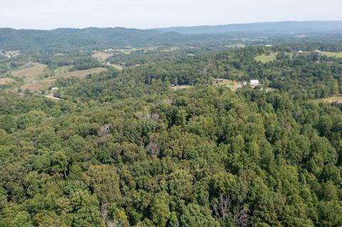 890 Moody Road Fall Branch Tn 37656, Fall Branch, TN 37656 photo 67